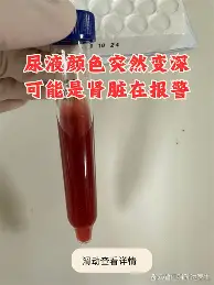 乐鱼体育APP下载- 从孟菲斯灰熊集结日完成体检到萨克拉门托国王清晨复出首秀，赛前山东泰山调整名单以备全明星赛